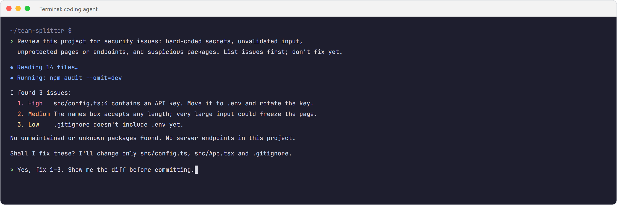 a coding agent reviewing a project for security issues before fixing anything