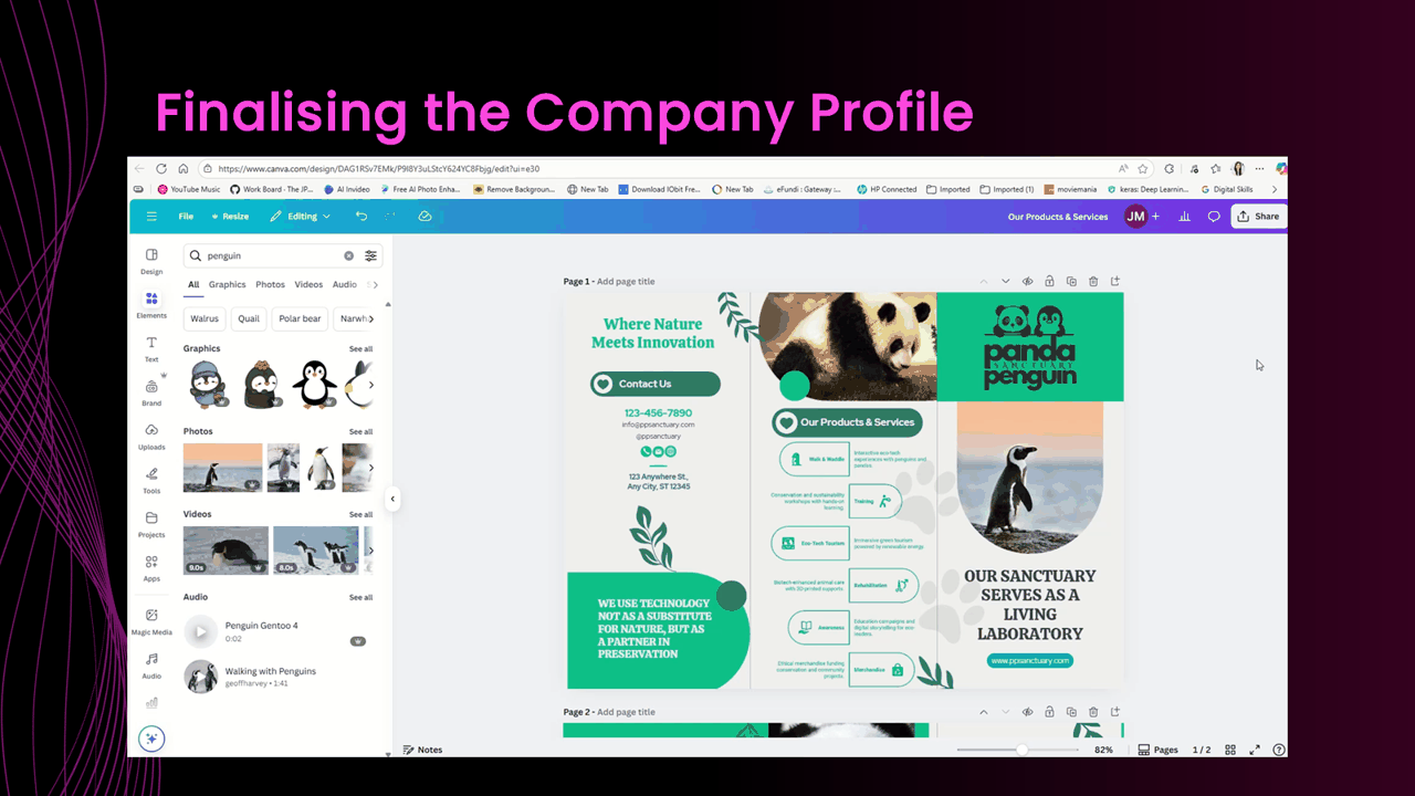 The finalised Panda Penguin company profile