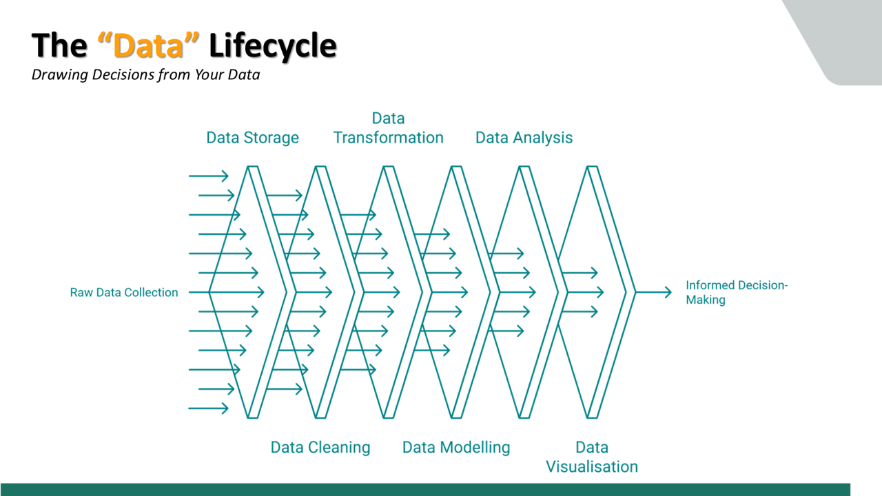 The data lifecycle from raw data collection to informed decision-making